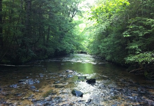 Laurel Fork Creek, Big South Fork - 08